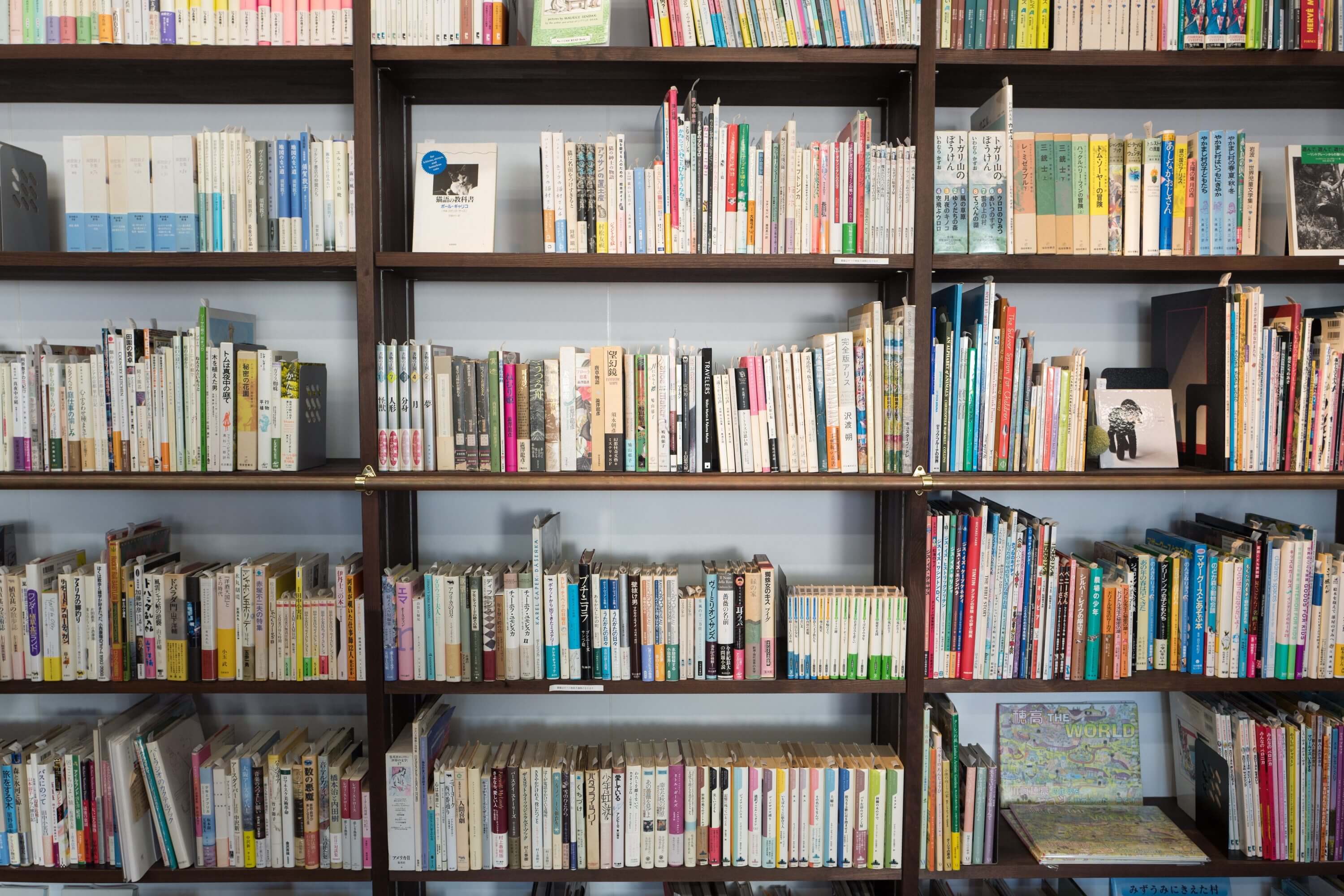 Bookshelf full of books