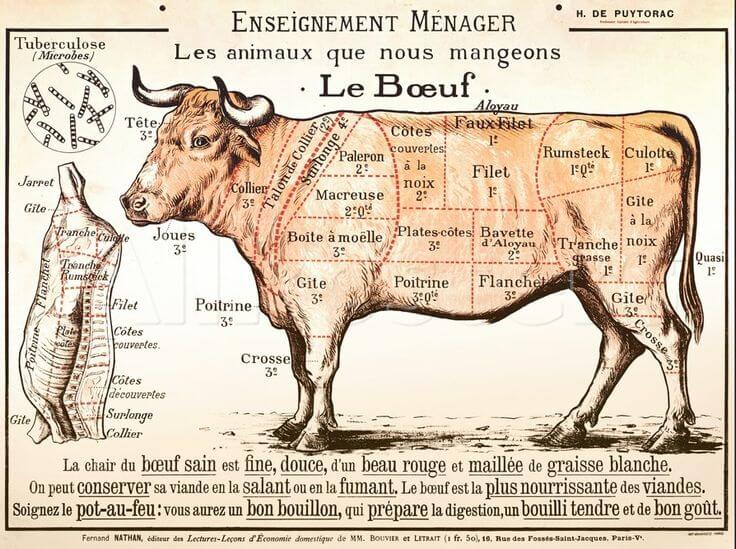 A butcher's map of a cow